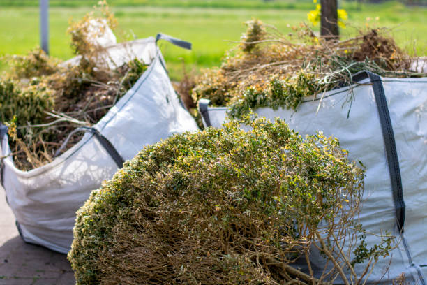 Best Recycling Services for Junk  in Danville, AR